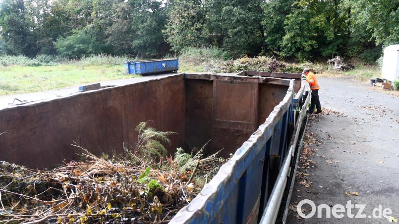 Der Grüngutcontainer in der Nähe des Tennisheims in Neunburg vorm Wald steht noch bis Ende Oktober. Symbolbild: Gabi Schönberger