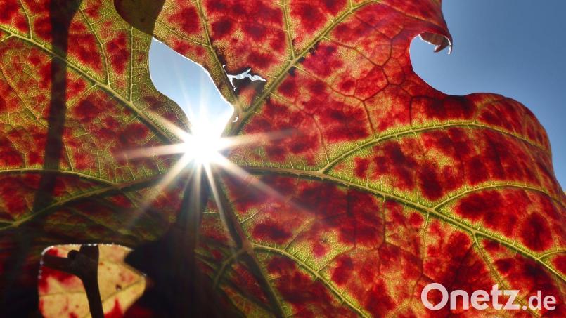 Großteils freundliche Herbsttage stehen in Bayern bevor. Bild: Karl-Josef Hildenbrand/dpa