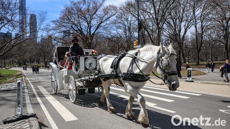 Die Kutschen rollen seit rund 150 Jahren durch den Central Park. (Archivbild) Bild: Bianca Otero/ZUMA Press Wire/dpa