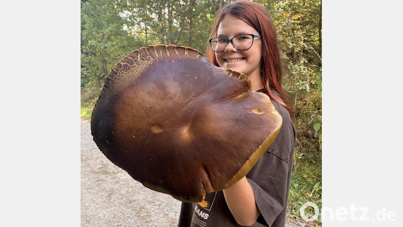 Die elfjährige Victoria zeigt den Riesen-Steinpilz, den sie mit ihrem Bruder Thomas im Waldnaabtal gefunden hat. Die Kappe hat einen Durchmesser von 33 Zentimetern. Bild: Hannah Zeus