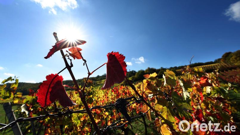 Der Herbst zeigt sich in Bayern vielerorts von seiner freundlichen Seite. Bild: Karl-Josef Hildenbrand/dpa