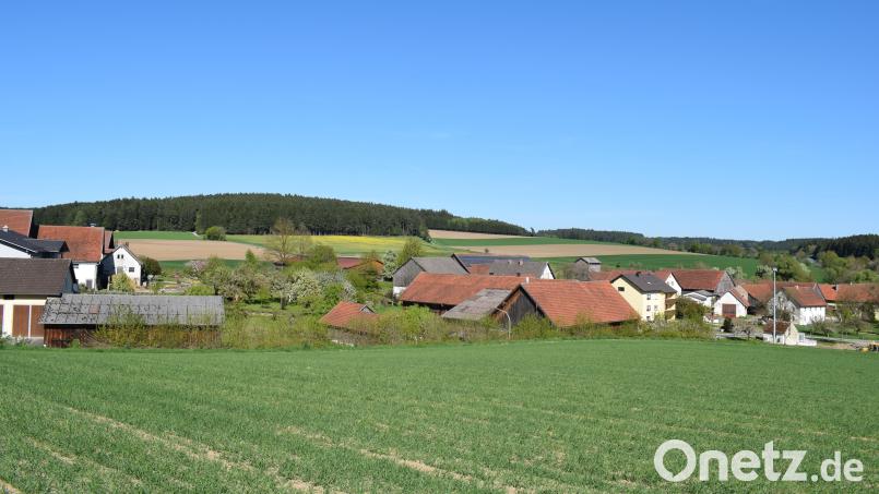 Die Gemeinde Guteneck hat die Waldfläche nördlich der Ortschaft Trichenricht als Windvorrangfläche benannt. Eine Erweiterung der Fläche zieht der Gemeinderat nicht in Betracht. Bild: Richard Braun