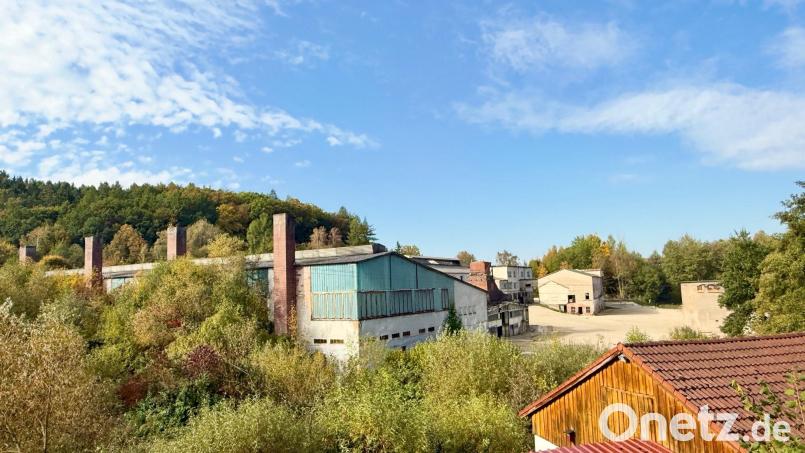 Schon jetzt wuchern Büsche und Bäume zwischen den ehemaligen Tritschler-Werkshallen. Das Gelände ist in den Besitz der Stadt übergegangen. Archivbild: Gabi Schönberger