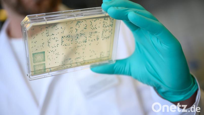 Die Bioinvest mit Sitz an der Betzenmühle in Plößberg hat Insolvenz angemeldet. Das Unternehmen bietet unter der Marke Bio-Età unter anderem genetische Gesundheitsanalysen an. Symbolbild: Sebastian Gollnow/dpa