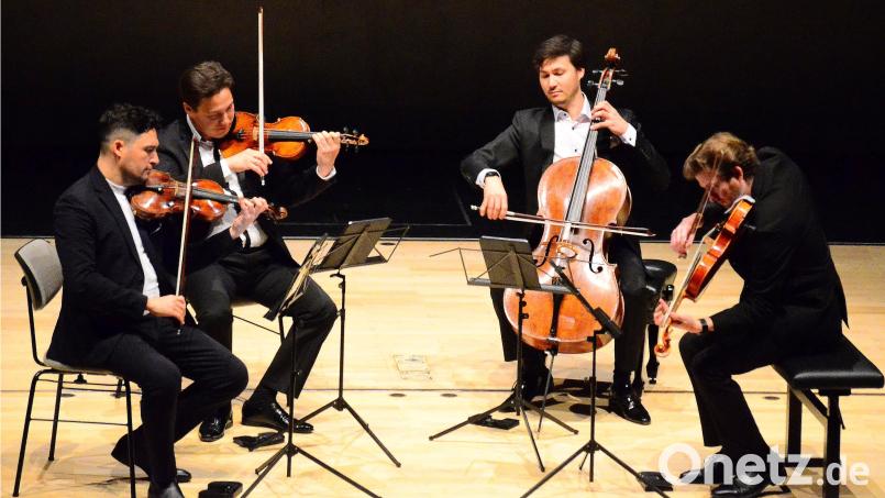Das Schumann-Quartett gastierte bei den Weidener Meisterkonzerten in der Max-Reger-Halle. Bild: Helmut Kunz