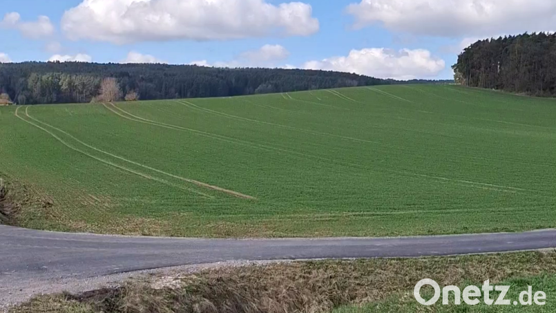 Der neue Solarpark Hartenricht-Brandleite: Hier ein Blick von Südosten über die Anlagenfläche nach Westen (im Hintergrund Wälder im Westen). Die Kapazität reicht aus, um rechnerisch 1500 bis 2000 Haushalte mit Strom zu versorgen. Bild: Blank &amp; Partner mbB Landschaftsarchitekten