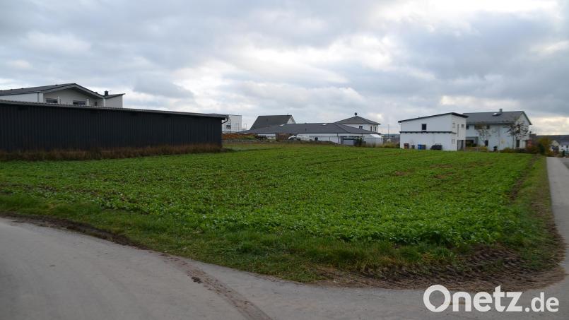 Dieses landwirtschaftliche Grundstück westlich des Baugebiets Hopfengarten gehört nicht mehr zum Bebauungsplan „Kirchenlaibach Nord-West“. Bild: Arnold Koch
