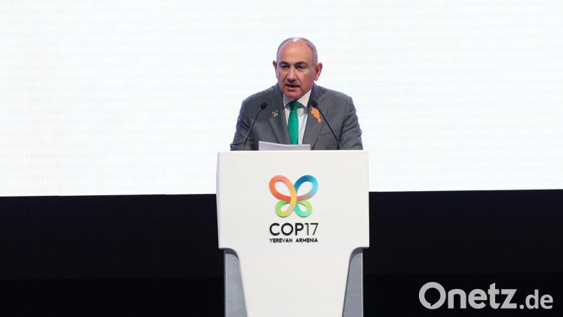 Im Fokus der UN-Konferenz zur biologischen Vielfalt steht eine Zwischenbilanz zum Stand der selbstgesteckten Ziele für den Schutz der Artenvielfalt. Der armenische Ministerpräsident Nikol Paschinjan hält bereits einige Tage vor Beginn der Konferenz eine Rede. Bild: Vahram Baghdasaryan/PHOTOLURE via AP/dpa
