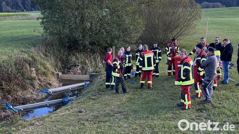 Einsatzkräfte der Feuerwehr Winklarn bauen während der groß angelegten MERO-Ölschadensübung eine Ölsperre ein. Bild: Gerhard Domaier