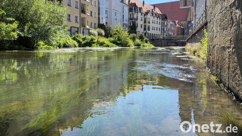 Zur Aktualisierung der Überschwemmungsgebiete wird die Vils ab Ende Oktober in der Stadt Amberg (Bild) und im Landkreis Amberg-Sulzbach vermessen. Bild: Petra Hartl