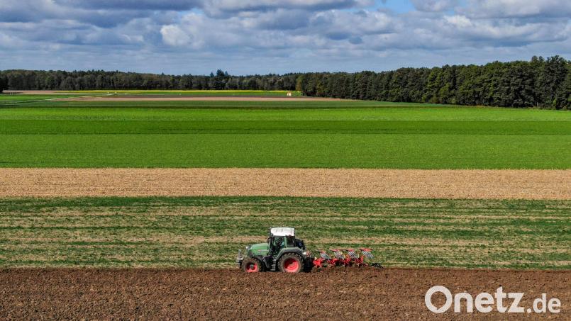 Damit der Landwirtschaft die Fläche nicht ausgeht: Der Planungsverband will Flächen exklusiv sichern. Symbolbild: Armin Weigel/dpa