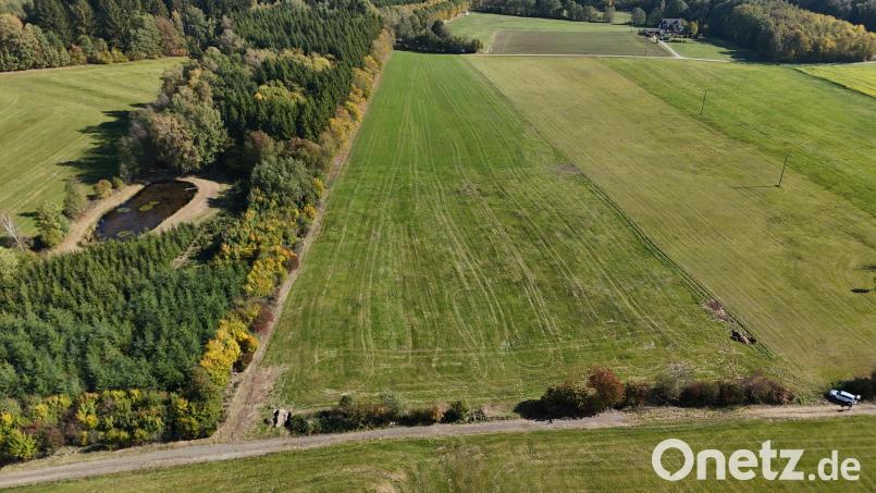 Auf diesem 2,6 Hektar großen Areal in Gutenfürst soll ein Solarpark errichtet werden Bild: Greenovative
