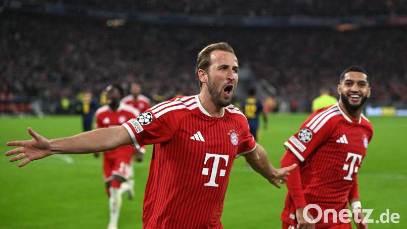 Ein gewohntes Bild: Harry Kane beim Jubeln. Doch der Engländer ist beim FC Bayern noch viel mehr als ein gefährlicher Torjäger. Bild: Sven Hoppe/dpa