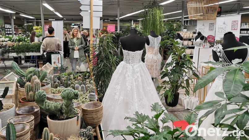 Brautkleider zwischen stacheligen Kakteen. Show, Shopping und Party waren das Motto beim Eröffnungsabend der "Goldenen Tage" in der Gärtnerei Baumer in Oberviechtach. Bild: Gertraud Portner
