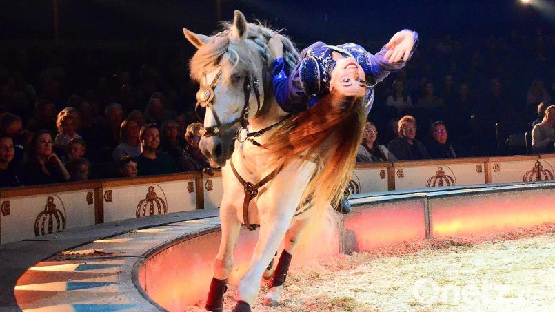 Bei Circus Krone gibt es spektakuläre Reitkunst zu sehen. Aktuell gastiert das Zirkus-Ensemble in Weiden. Bild: Helmut Kunz