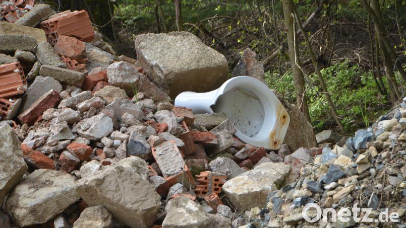 Bis in die 1970er-Jahre war es üblich, Bauschutt und Hausmüll auf Deponien in der freien Flur abzuladen. Aus dieser Zeit stammt auch die Deponie Trift bei Oberviechtach, für die der Stadtrat nun eine Sanierungsplanung beschlossen hat. Symbolbild: dob
