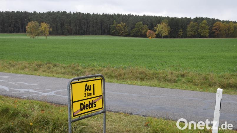 Bei der Bürgerversammlung in Diebis wurde der Ausbau des Windkraftvorranggebietes "AS 21" des Regionalen Planungsverbands Oberpfalz Nord konträr diskutiert. Bild: Paul Böhm