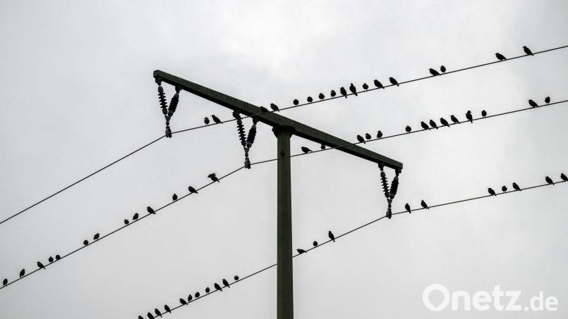 Im Laufe des Samstags sollen die Wolken über Bayern zunehmen aufreißen. (Archivbild) Bild: Pia Bayer/dpa
