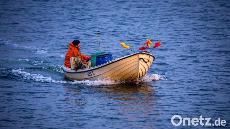 Es steht nicht gut um die Fischerei an der deutschen Ostseeküste. (Archivbild) Bild: Jens Büttner/dpa