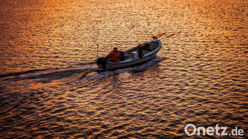 Ostseefischer dürfen weiter Hering als Beifang anlanden. (Archivbild) Bild: Jens Büttner/dpa