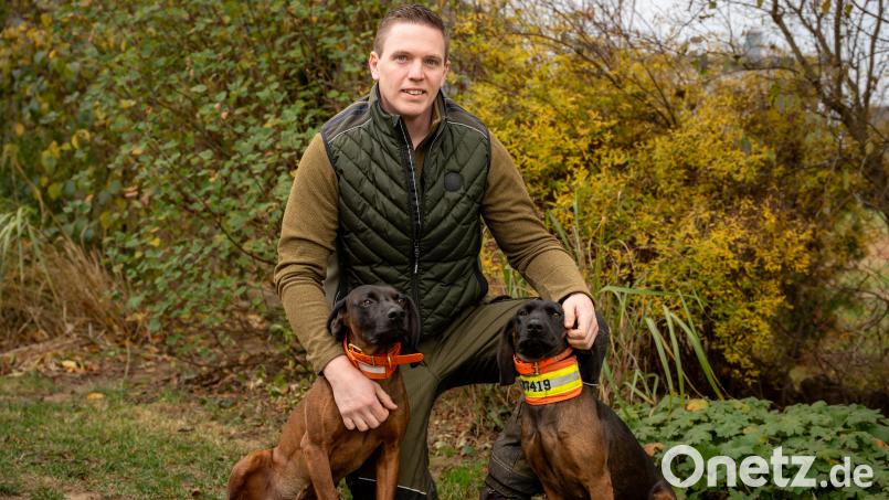Sie sind im Einsatz, wenn ein verletztes Wildtier flüchtet: Simon Heiser und seine Hunde Dachs (links) und Kleo sind ein anerkanntes Nachsuchengespann im Landkreis Neustadt/WN. Bild: Franka Eichl