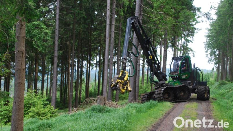 Im Kreither Forst bei Schwandorf ist am Montagnachmittag ein Harvester ausgebrannt. Dabei entstand hoher Schaden. Symbolbild: Thorsten Schreiber