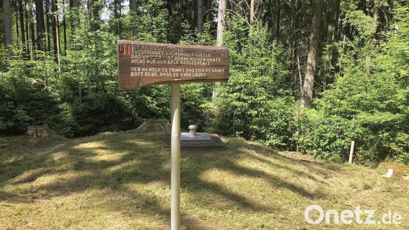 Die seit über 100 Jahren genutzte Quelle, das "Steinerne Brünnerl", musste saniert werden. Die Maßnahme ist bis auf Restarbeiten abgeschlossen. Archivbild: Werner Robl