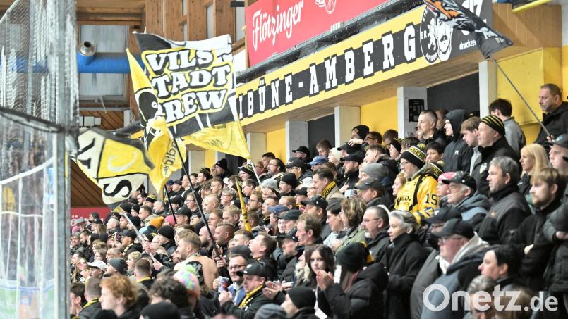 Ordentlich was los auf den Tribünen des ERSC Amberg: Gegen den ESV Buchloe strömten fast 1000 Zuschauer ins Amberger Eisstadion. Die positive sportliche Entwicklung ist auch auf den Rängen zu merken. Bild: Hubert Ziegler