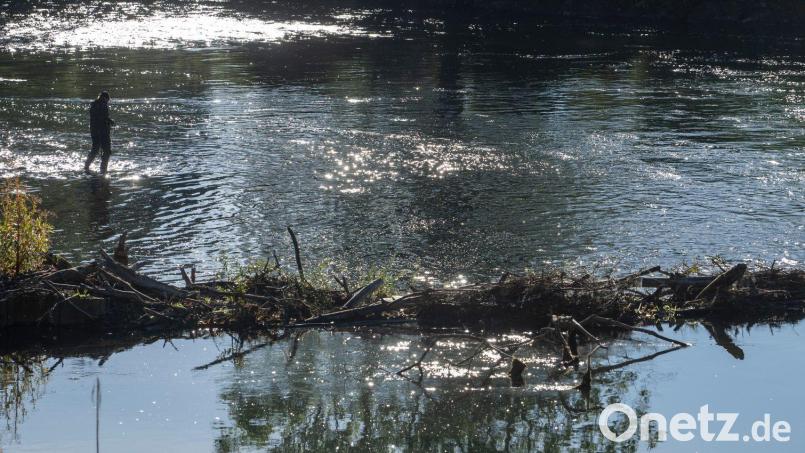 In der Isar setzte das Bayerische Landesamt für Umwelt rund 40.000 Fische aus. (Symbolbild) Bild: Stefan Puchner/dpa