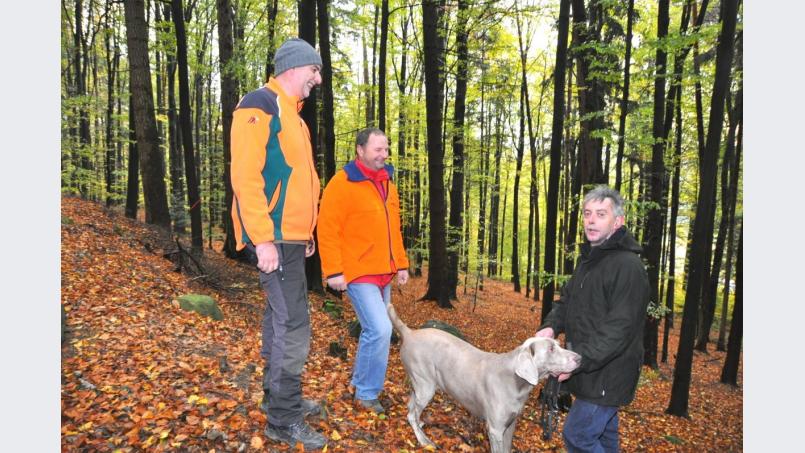 Förster Josef Weber (rechts) informiert bei einem Ortstermin Forstwirtschaftsmeister und Einsatzleiter Markus Lang und Servicestellenleiter Thomas Parton (von links) über die Maßnahmen der Bayerischen Staatsforsten im geologischen Lehrpfad. Bild: es