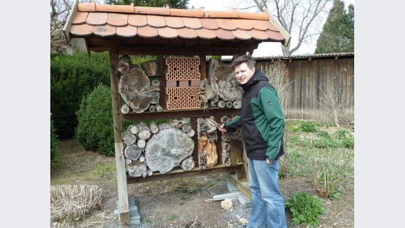 Hier fühlen sich Insekten wohl. Bild: wrt