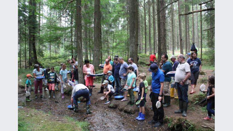 Das Goldwaschen am Forellenbach ist ein Erlebnis für Jung und Alt. Bild: lg Bild: lg