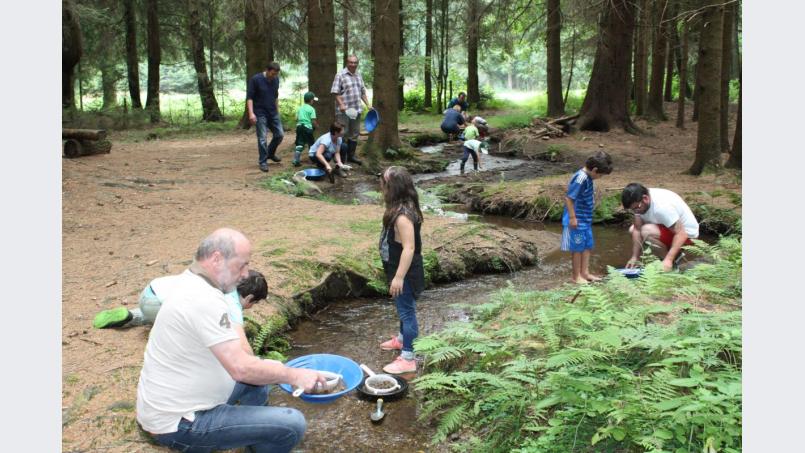 Das Goldwaschen am Forellenbach ist ein Erlebnis für Jung und Alt. Bild: lg Bild: lg