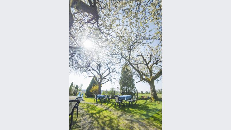 Bei schönem Wetter bietet der Garten eine traumhafte Idylle. Bild: exb