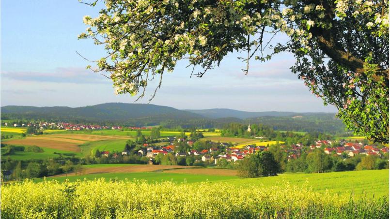 Hervorragende Freizeitmöglichkeiten für alle, die die Natur lieben, und eine herrliche Lage: Floß (im Kreis Neustadt/WN) ist ein Markt mit hoher Lebensqualität. Bild: Siehe Sammelvermerk