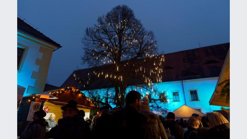 Zahlreiche romantische Lichter verwandeln den Fischhofpark in ein kleines "Weihnachtsstädtchen". Bild: tr