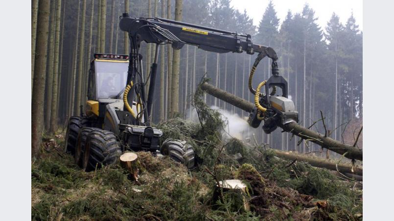 Forstarbeiter Franz K. wurde mit finanzieller Unterstützung durch die Agentur für Arbeit zum Harvesterfahrer ausgebildet. Bild: Johanna Mühlbauer - stock.adobe.com