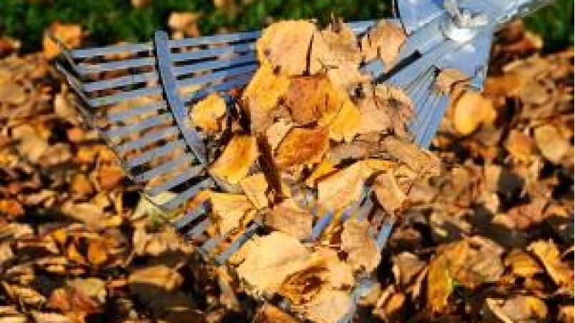 Regelmäßige Pflege minimiert Kosten. Bild: KS LandService GmbH/© Carola Schubbel – Fotolia.com