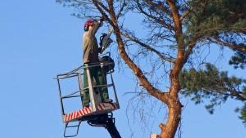 Ein Mitarbeiter des Neustädter Unternehmens bei Baumarbeiten. Bild: KS-Land-Service GmbH/© flashpics – Fotolia.com