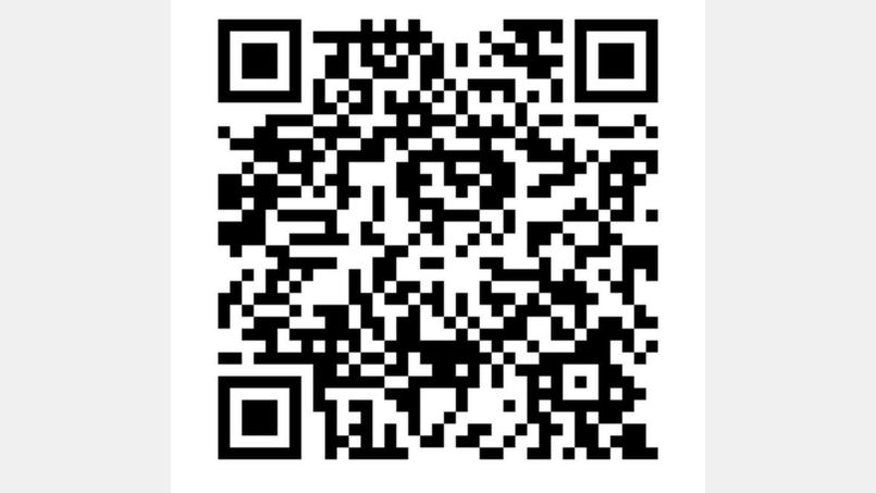 Wer diesen QR-Code scannt, kann mehr über bürgerschaftliches Engagement im Lankreis Tirschenreuth erfahren. Bild: exb