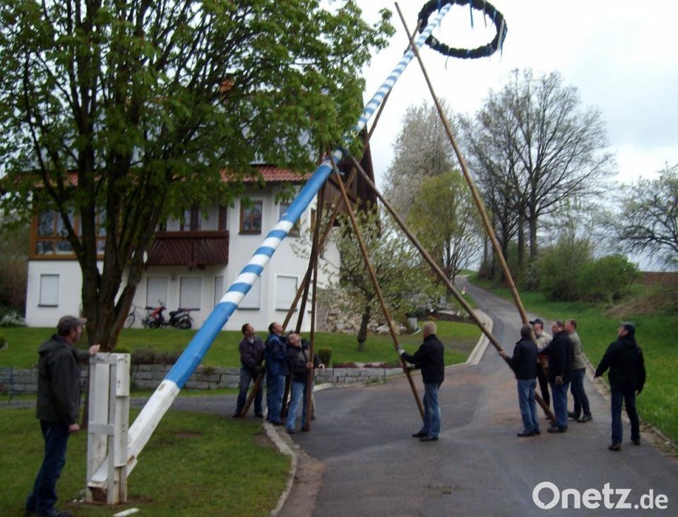 Neue Regeln für Maibaum-Klau: Diebe obenauf | Onetz