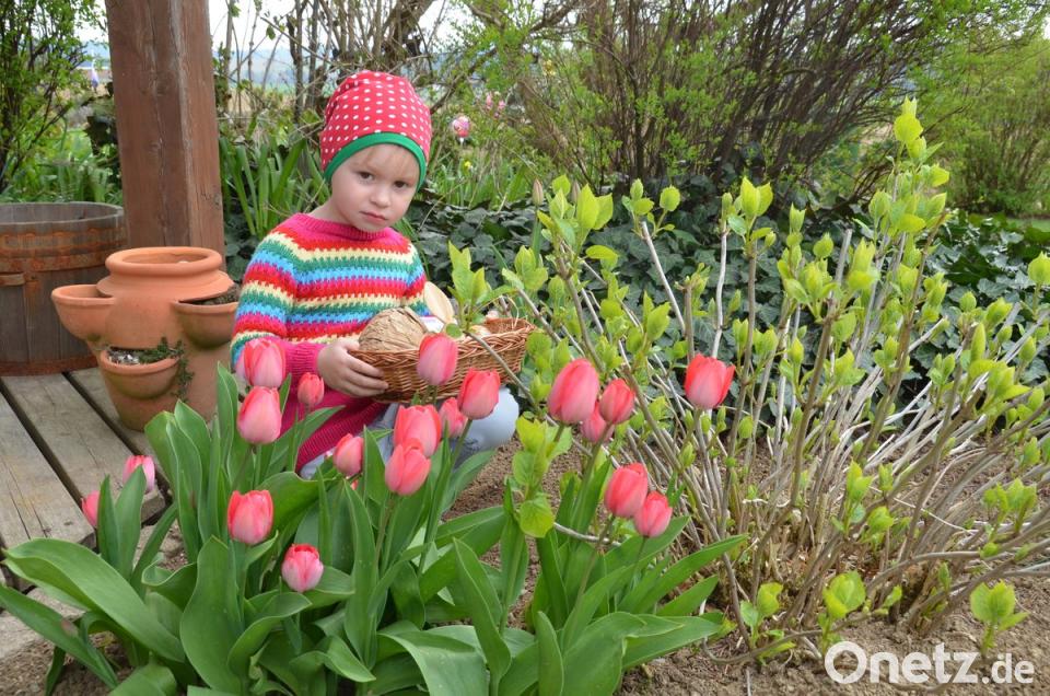 Die dreijährige Josepha auf Osternestsuche im Garten: Trotz nur drei ...