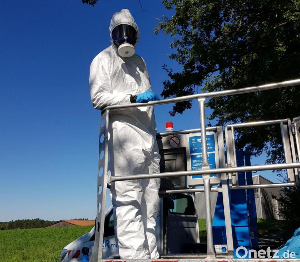 Im Schutzanzug gegen den Riesen-Bärenklau | Onetz