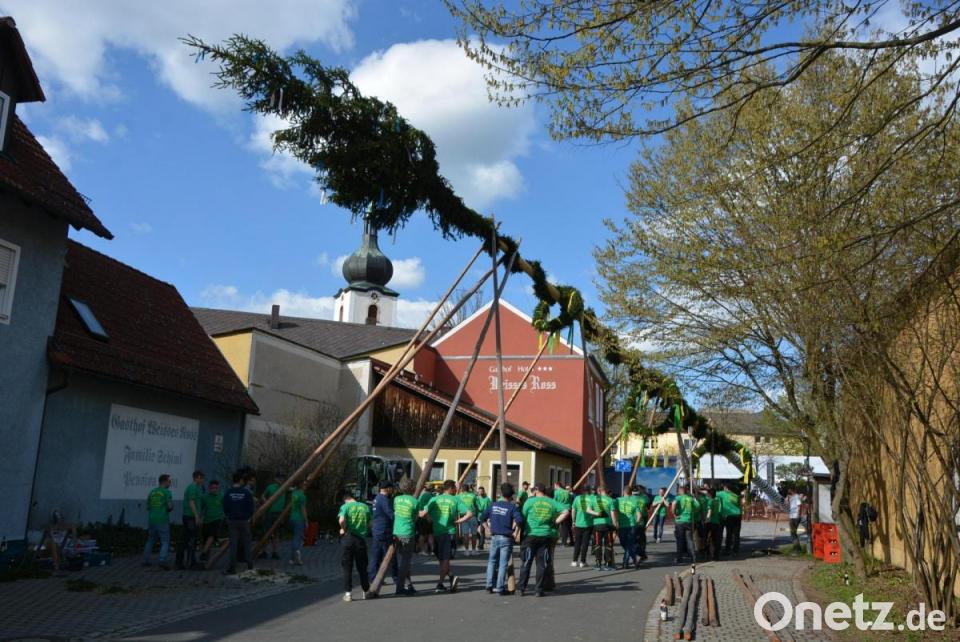 Maibaum in Konnersreuth steht nach über drei Stunden