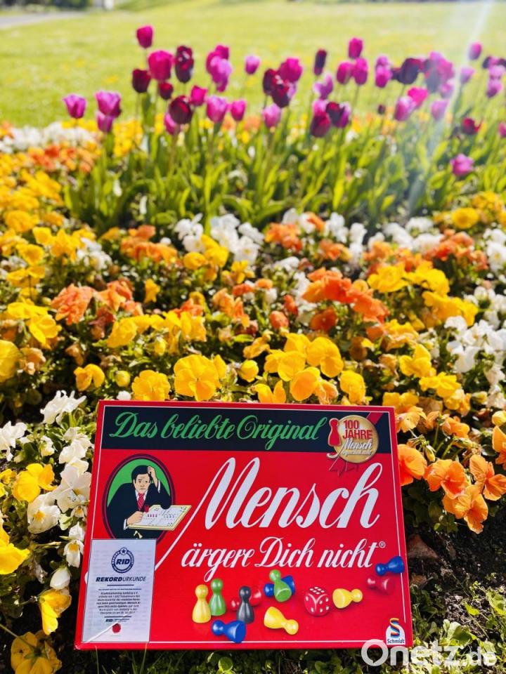 Amberg will MenschÄrgereDichNichtWeltrekord zurück Amberg will MenschÄrgereDichNichtWeltrekord zurück