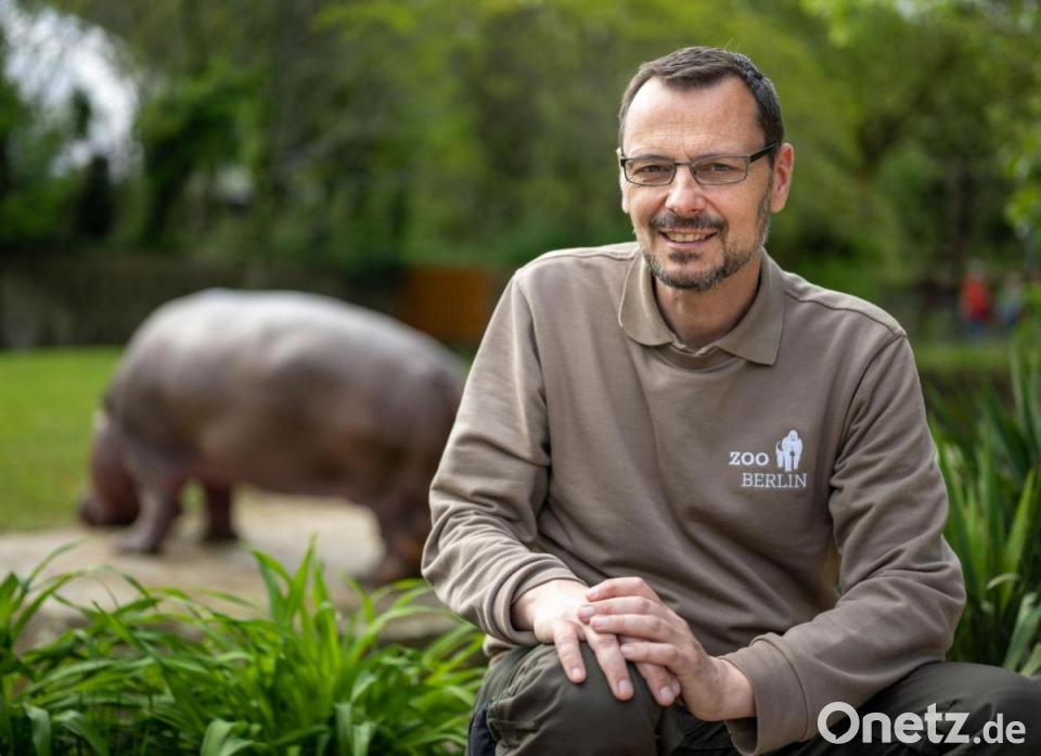 Low Carb für Zootiere: Reistorte für den Gorilla ist passé | Onetz