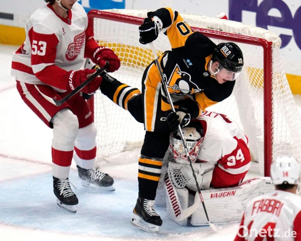 Playoff-Rückschlag für NHL-Profi Seider und Detroit | Onetz