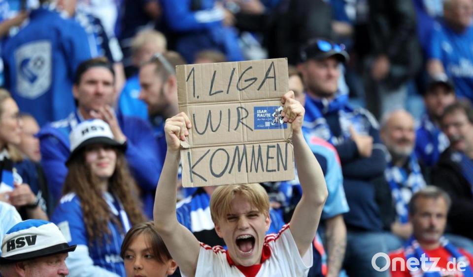 Hamburg's Resounding Return: A 6-1 Statement in the Bundesliga