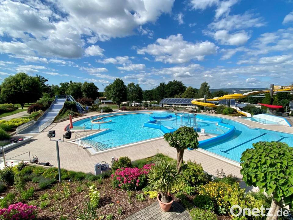 Freibadsaison In Schwandorf Endet Mit Hundeschwimmen Onetz