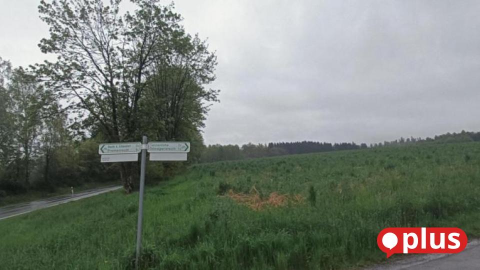 Enteht in der Gemeinde Reuth ein Photovoltaikkraftwerk?